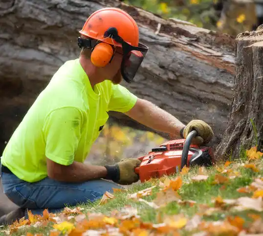 tree services Mimbres